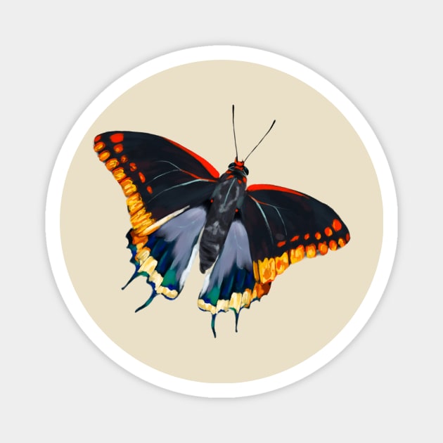 Charaxes jasius Magnet by BottledUpShips